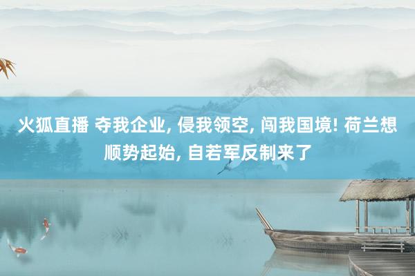 火狐直播 夺我企业, 侵我领空, 闯我国境! 荷兰想顺势起始, 自若军反制来了
