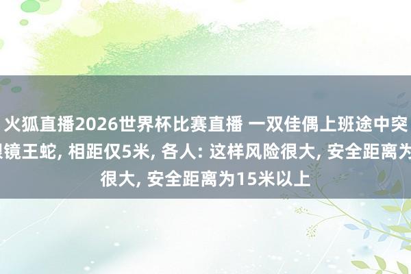 火狐直播2026世界杯比赛直播 一双佳偶上班途中突遇2米长眼镜王蛇, 相距仅5米, 各人: 这样风险很大, 安全距离为15米以上