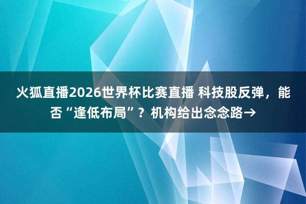 火狐直播2026世界杯比赛直播 科技股反弹，能否“逢低布局”？机构给出念念路→