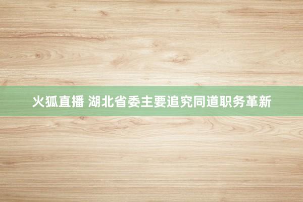 火狐直播 湖北省委主要追究同道职务革新