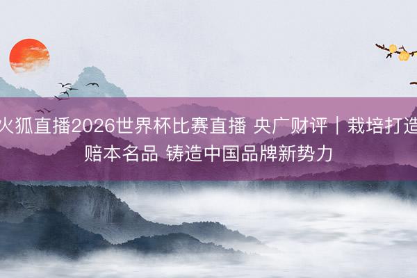 火狐直播2026世界杯比赛直播 央广财评｜栽培打造赔本名品 铸造中国品牌新势力