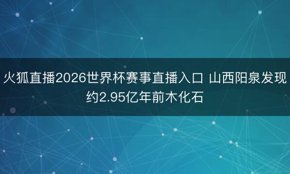 火狐直播2026世界杯赛事直播入口 山西阳泉发现约2.95亿年前木化石