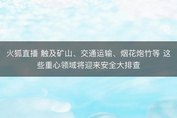 火狐直播 触及矿山、交通运输、烟花炮竹等 这些重心领域将迎来安全大排查
