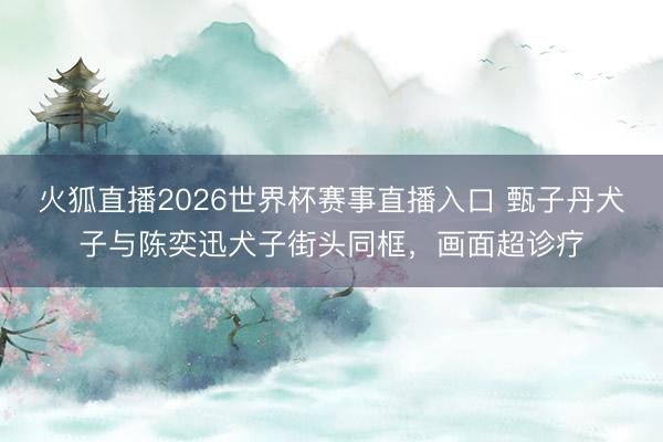 火狐直播2026世界杯赛事直播入口 甄子丹犬子与陈奕迅犬子街头同框，画面超诊疗